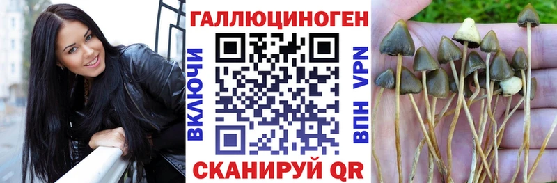 Псилоцибиновые грибы прущие грибы  даркнет сайт  Оса 